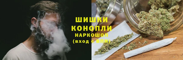 PSILOCYBIN Бородино