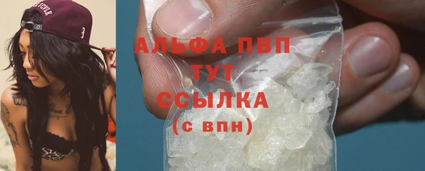 PSILOCYBIN Бородино