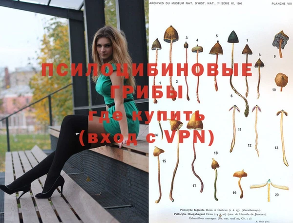 дживик Бронницы