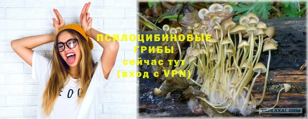PSILOCYBIN Бородино