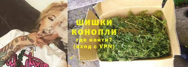 PSILOCYBIN Бородино