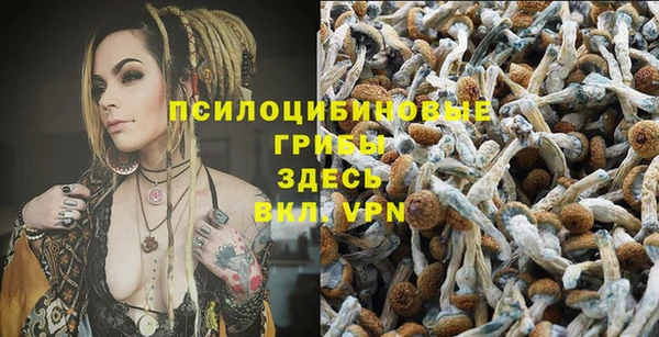 винт Бугульма