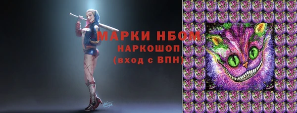 тгк Богородск