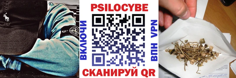 darknet как зайти  закладки  Гремячинск  Галлюциногенные грибы Psilocybine cubensis 